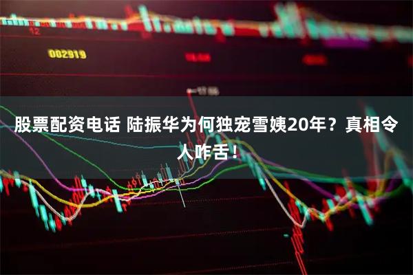 股票配资电话 陆振华为何独宠雪姨20年？真相令人咋舌！
